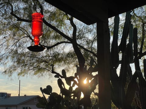 Front porch