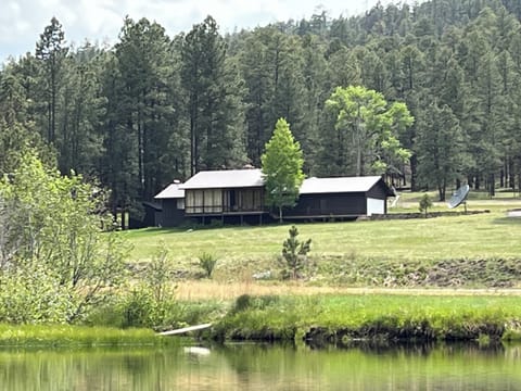 From the pond