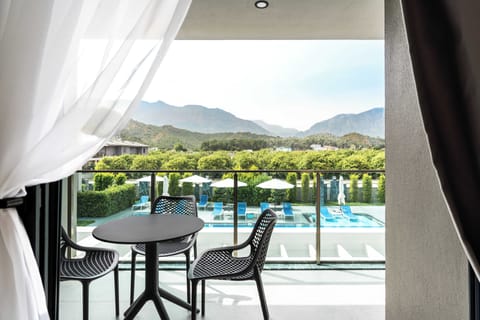 Basic Room | Balcony view