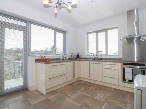 Fridge, dishwasher, electric kettle, toaster