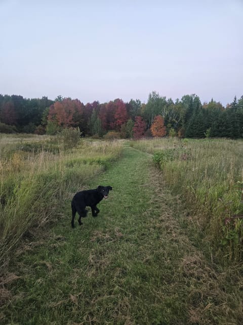 Over one mile of maintained walking paths await you behind the barn.