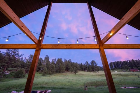 Beared Buffalo (70 of 211)