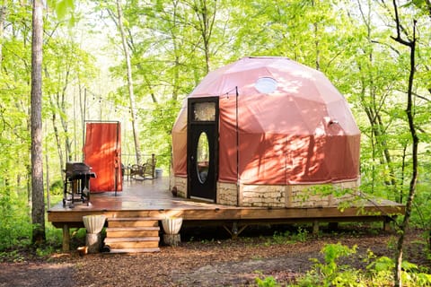 the Cocoon at Rooted Domes