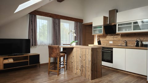 Deluxe Apartment | Private kitchen