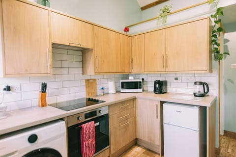 Apartment | Private kitchen | Fridge, microwave, oven, stovetop