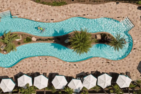 A bird's-eye view of an inviting pool oasis, framed by the grace of nature.