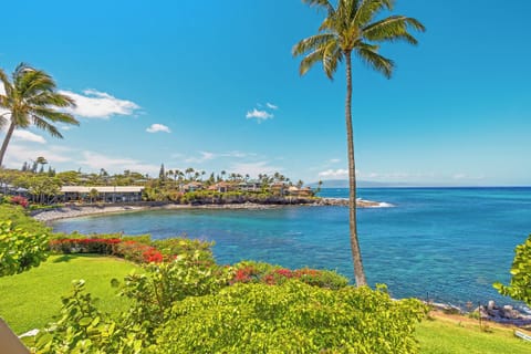 Honokeana Bay, also known as Turtle Bay, has some of the clearest water on Maui.