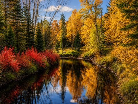 Some places are beautiful. Others stay with you long after you leave. 
