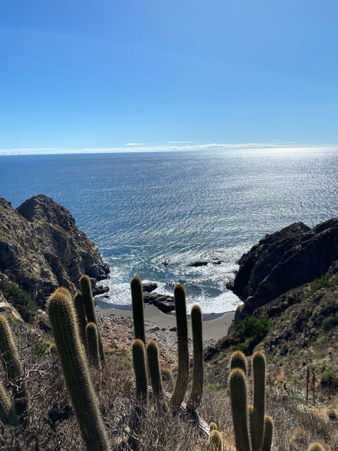 Hiking