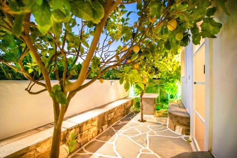 Shared Dormitory, 1 Bedroom | Garden