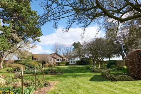 The garden at Sunset Cottage, Kent
