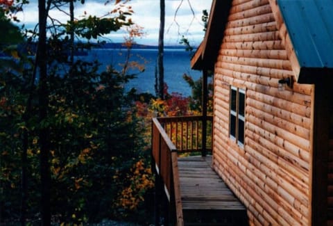 Cabin Overlooking the Lake