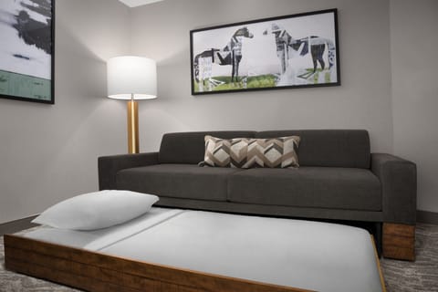 Desk, laptop workspace, iron/ironing board, free cribs/infant beds