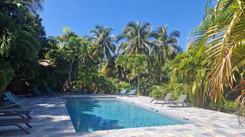 Outdoor pool, sun loungers