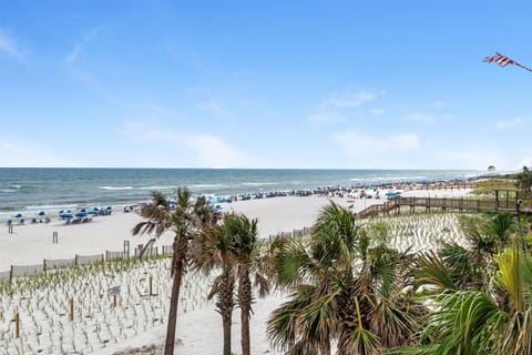 Condo, Multiple Beds (Sandy Key 335) | Beach | On the beach