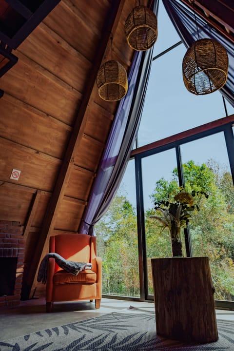 Deluxe Cabin | Living area