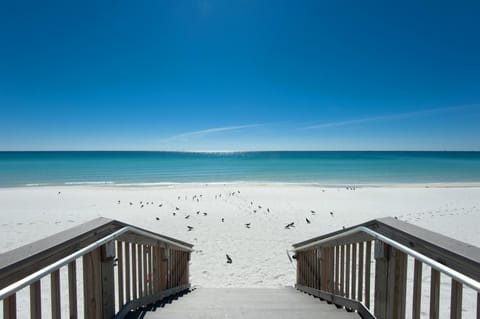 Condo, Multiple Beds (Holiday Surf and Racquet Club 710) | Beach | On the beach