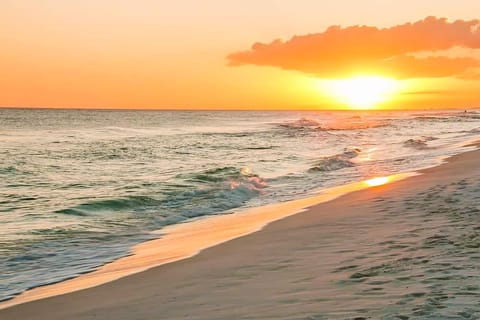 Condo, 1 King Bed with Sofa bed (Alerio E402- Just Beachy) | Beach | Beach nearby