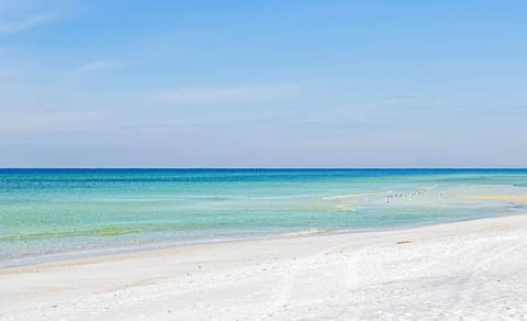 Studio, 2 Queen Beds (Top of the Gulf 610) | Beach | On the beach