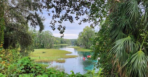 View from gift shop at Rainbow Springs State Park