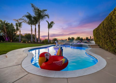 A poolside haven surrounded by palms and peaceful vibes.
