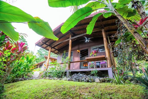 Toucan Villa at our boutique hotel is a romantic vacation home!