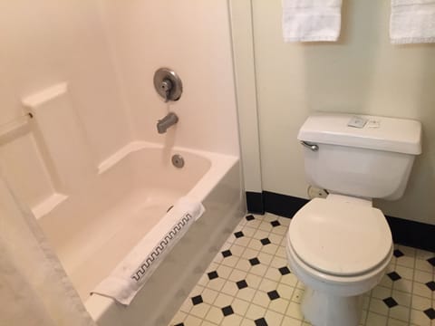 Combined shower/tub, free toiletries, hair dryer, towels