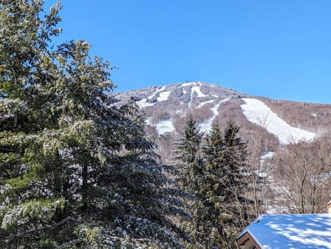 Amazing views of MT Snow from your deck
