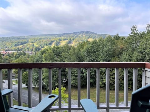 Amazing views of Mt Snow from a private deck.