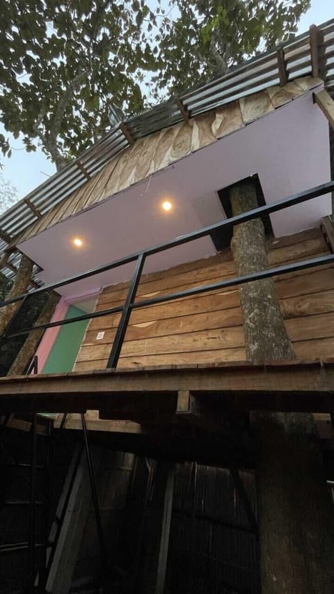 Panoramic Tree House | 1 bedroom, WiFi (free), individually decorated, individually furnished