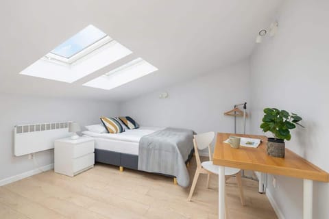 A bright attic bedroom with a single bed placed under a skylight, a small desk to the side, and light wooden flooring.

