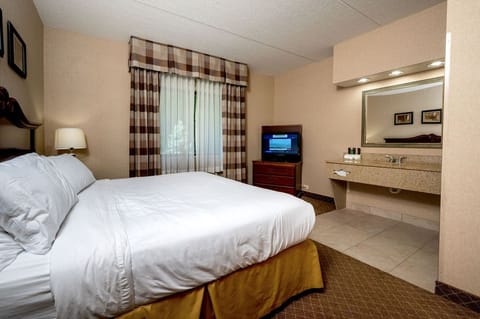 Room, 1 King Bed, Accessible, Non Smoking (Mobility, Roll-In-Shower) | Hypo-allergenic bedding, desk, laptop workspace, iron/ironing board