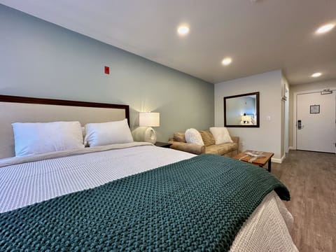 Experience comfort and relaxation in our hotel-room style property, featuring a plush queen-sized bed and a cozy, inviting sofa bed.