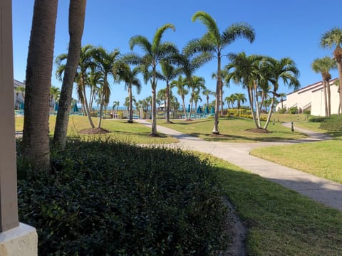 2-109 View