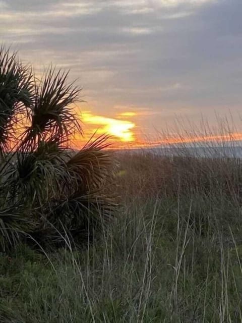 Sunrise View: Soak in the vibrant sunrise just steps from your beachfront retreat!