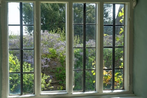 View of garden from cottage