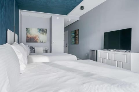 213 Studio 2 Queen - Mott Haven - NYC