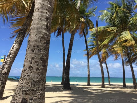 SIMPLY PARADISE! Photo taken by us of  beachfront RIGHT IN FRONT of our building