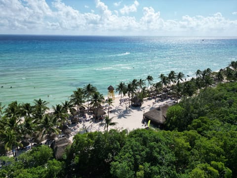 On the beach, white sand, sun loungers, beach umbrellas