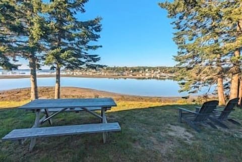 There are two Adirondack chairs and a picnic table in the back yard.