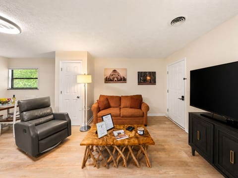 Living room with a pullout couch
