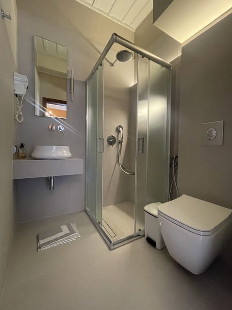 Double Room | Bathroom | Shower, rainfall showerhead, hair dryer, towels