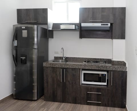 Family Suite | Private kitchen