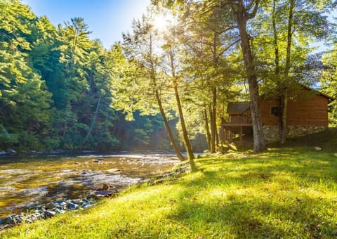 Rivers D Lite - Cabin and Toccoa River view