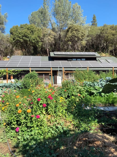 Solar-powered Farmhouse, Organic Garden