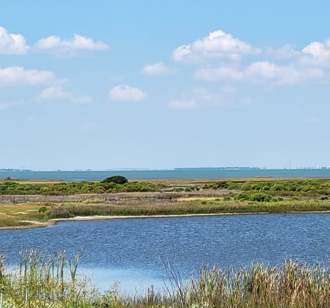 Galveston Bay View from rear patio