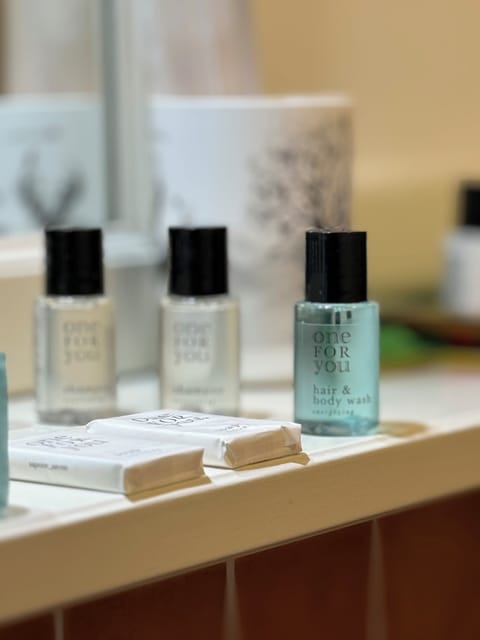 Basic Room | Bathroom | Shower, rainfall showerhead, designer toiletries, hair dryer