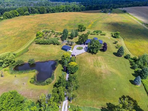 Nature's Embrace: Aerial View of Serenity