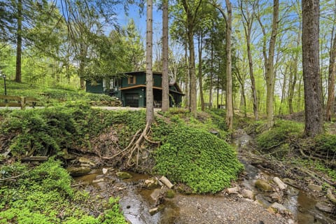 Secluded woodland cabin with a tranquil creek and serene forest views
