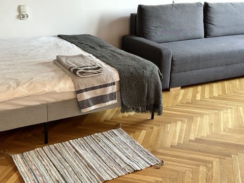 Comfort Apartment | 1 bedroom, desk, free WiFi